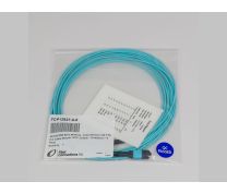 MTP(m) to MTP(m) OM3 12 Fiber Assembly - 5 M
