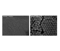 AngstromSphere Silica Microspheres, 0.50um (10g)