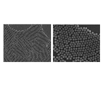 AngstromSphere Silica Microspheres, 0.75um (10g)