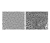 AngstromSphere Silica Microspheres, 1.00um (10g)