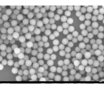 AngstromSphere Silica Microspheres, 0.20um (100g)