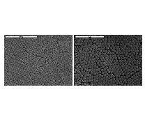 AngstromSphere Silica Microspheres, 0.40um (10g)