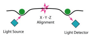 Figure 1. Diagram of local injection and Detection system